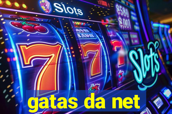 gatas da net